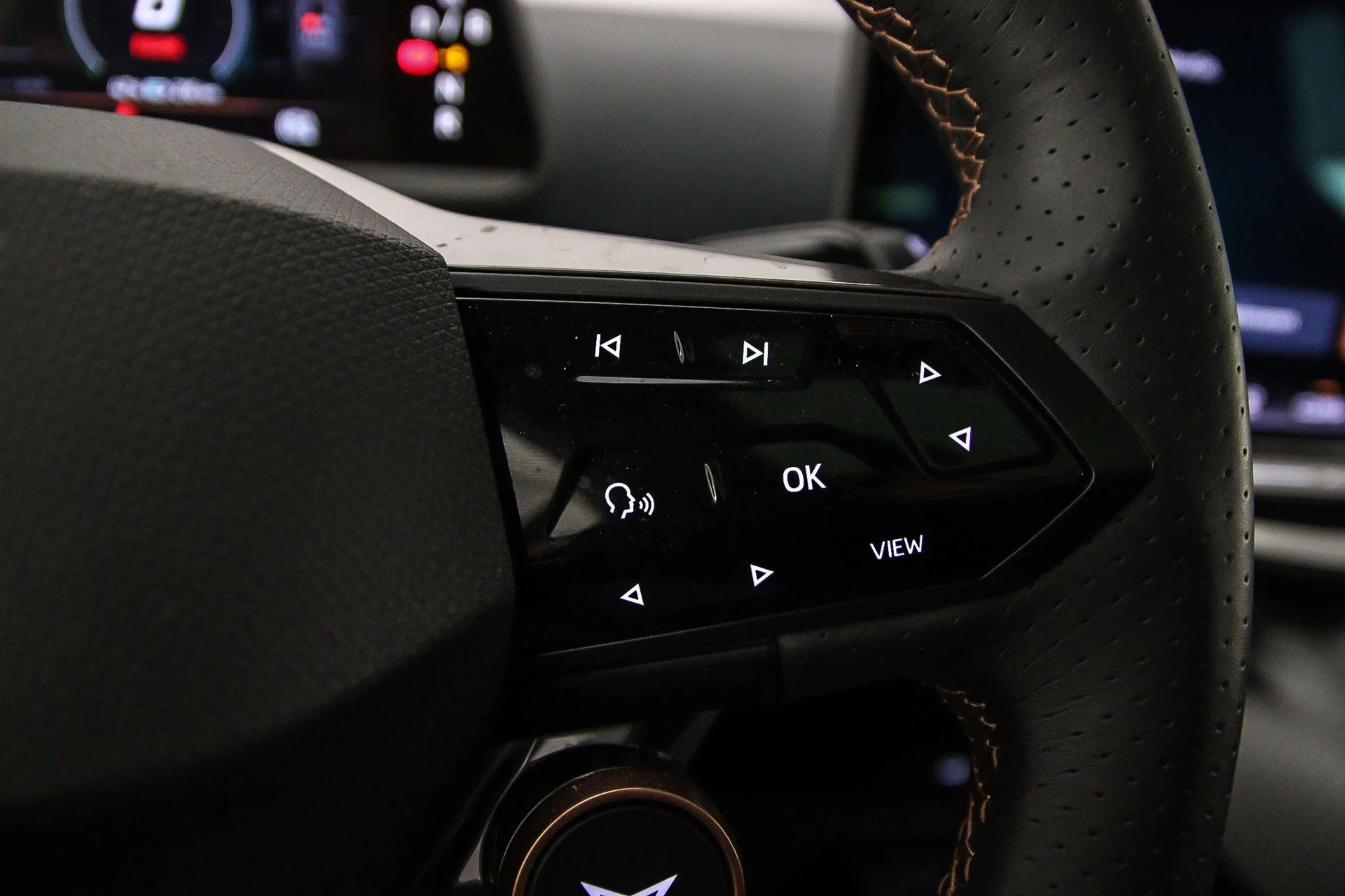 Hoofdafbeelding CUPRA Tavascan