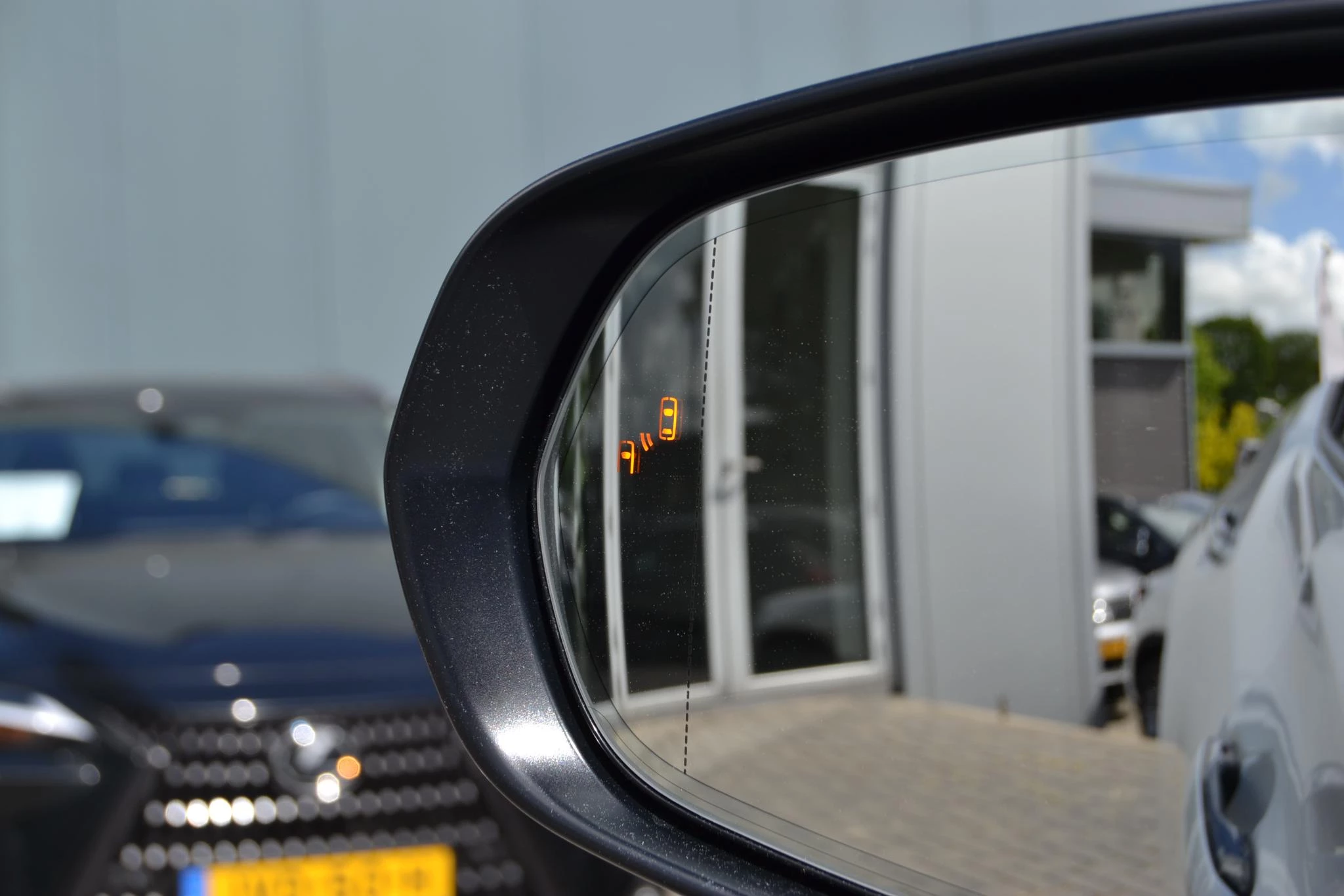 Hoofdafbeelding Lexus RZ