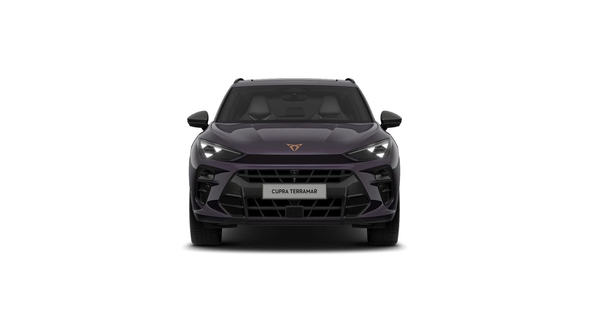 Hoofdafbeelding CUPRA Terramar