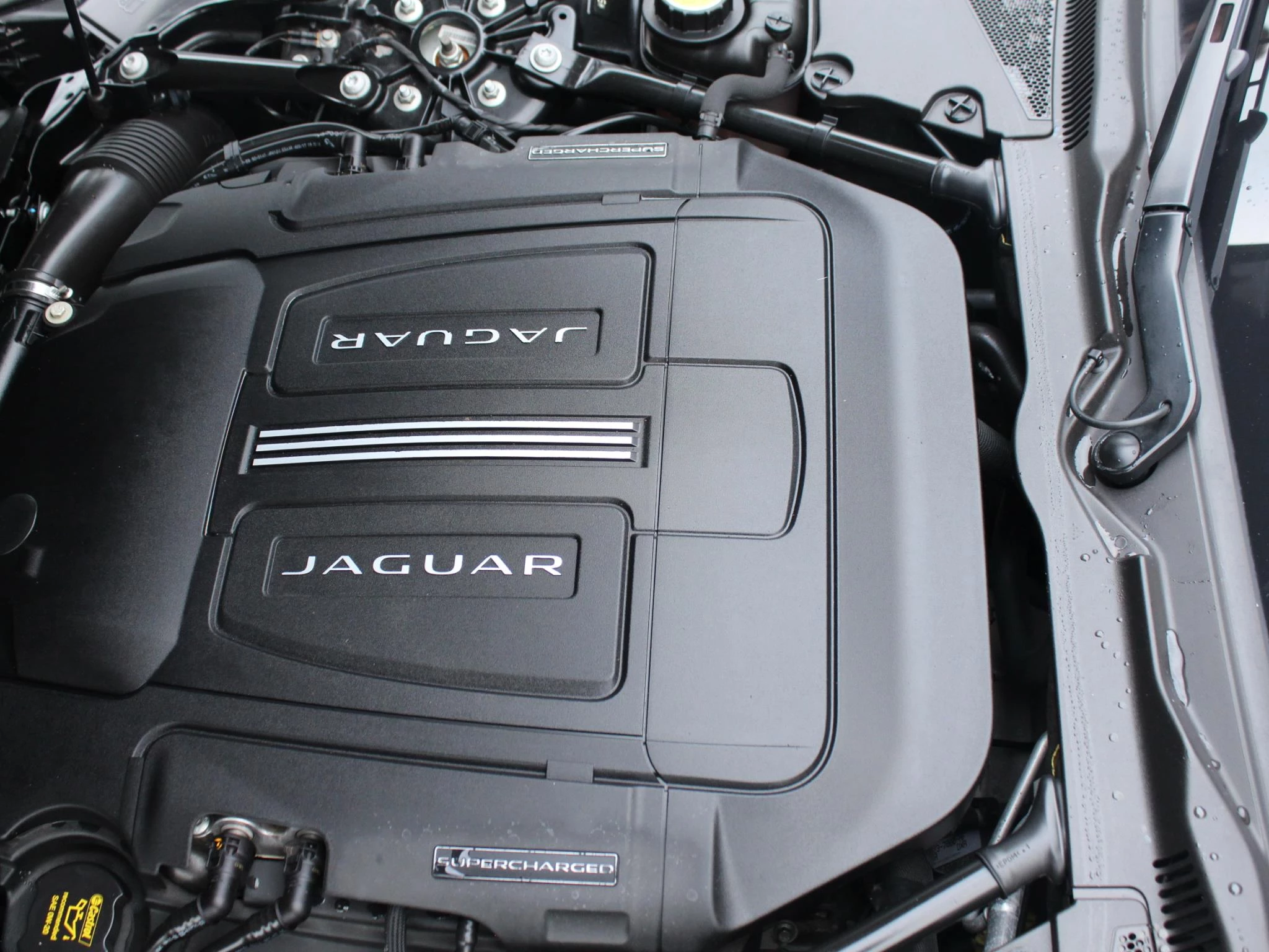Hoofdafbeelding Jaguar F-Type