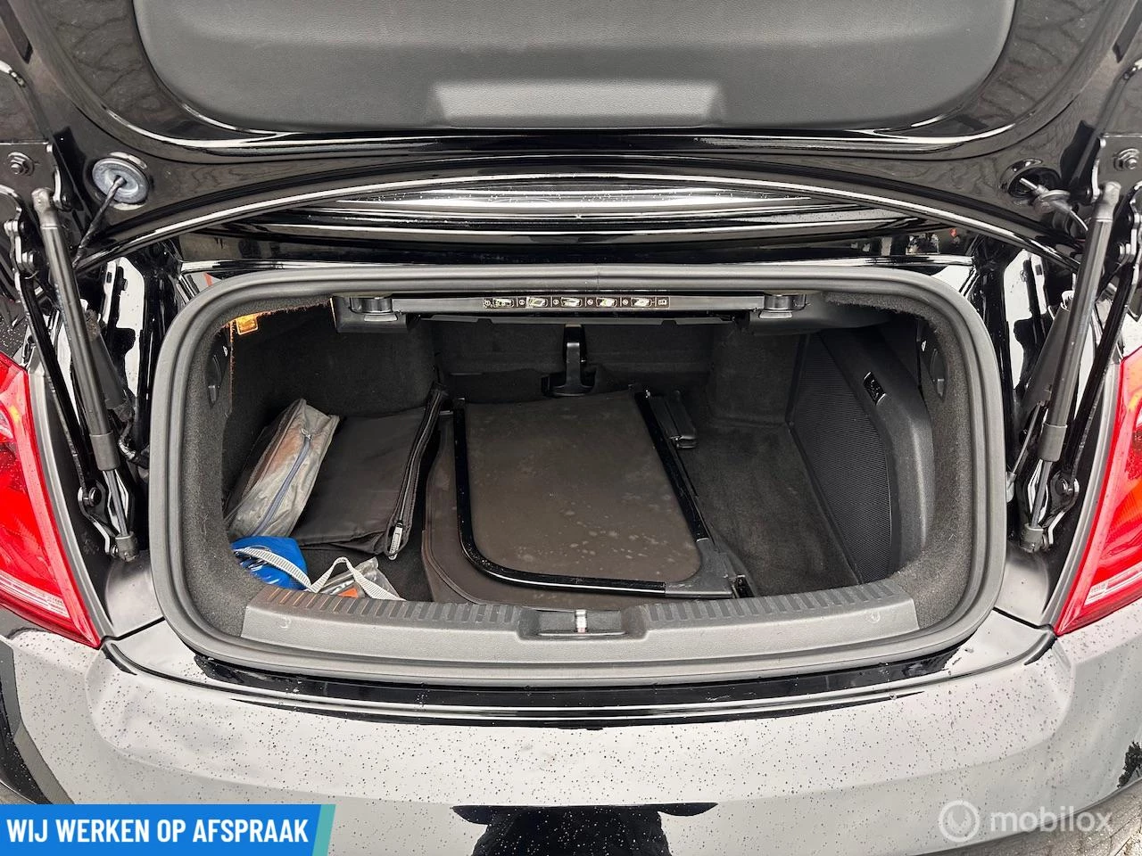 Hoofdafbeelding Volkswagen Beetle
