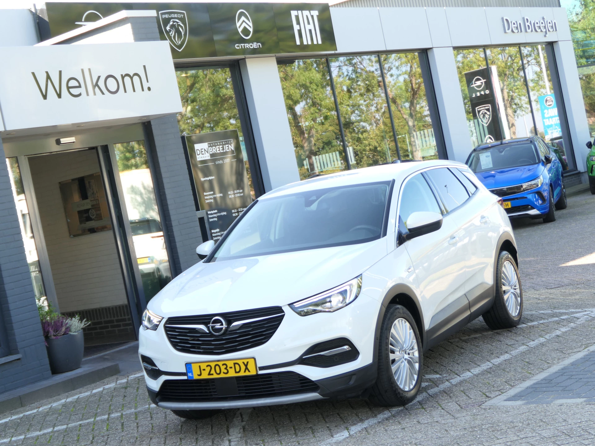 Hoofdafbeelding Opel Grandland X
