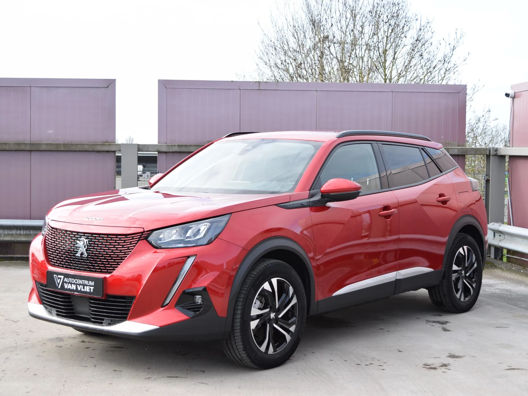 Hoofdafbeelding Peugeot e-2008