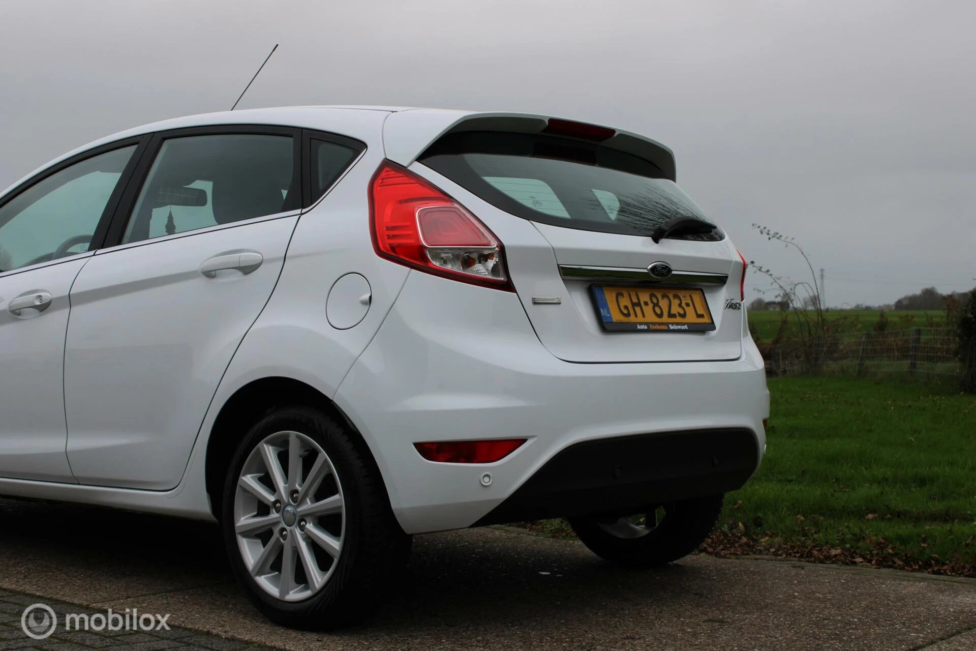 Hoofdafbeelding Ford Fiesta