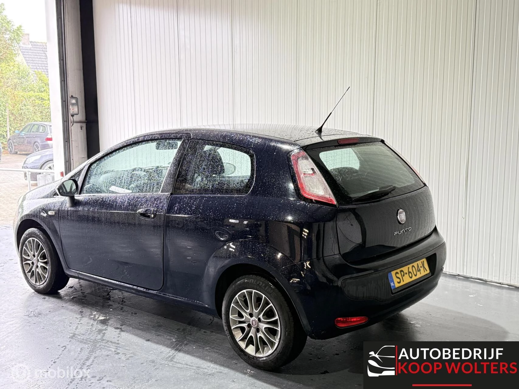 Hoofdafbeelding Fiat Punto