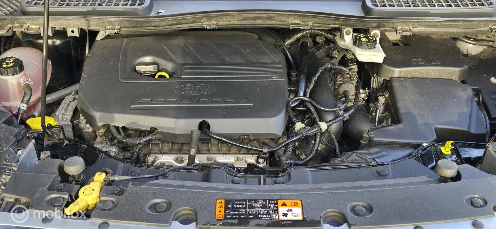 Hoofdafbeelding Ford Kuga