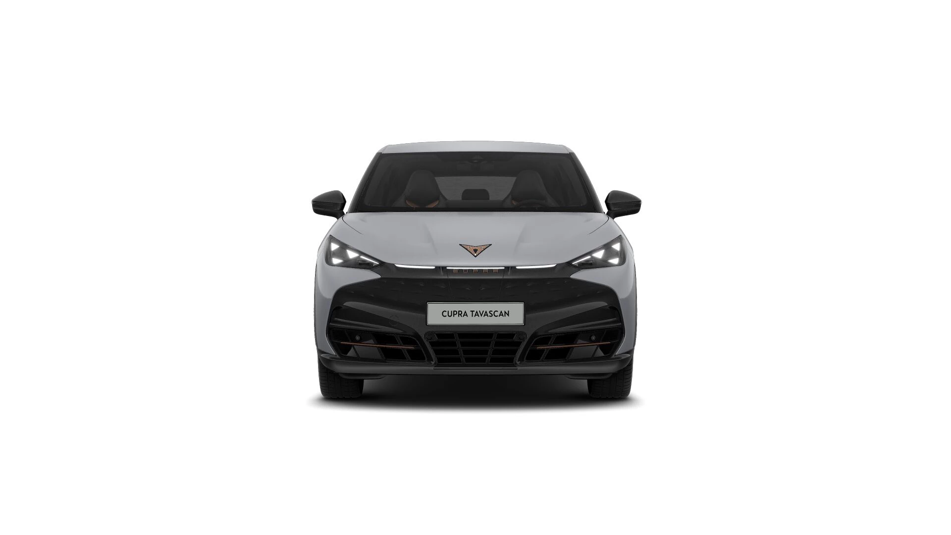 Hoofdafbeelding CUPRA Tavascan