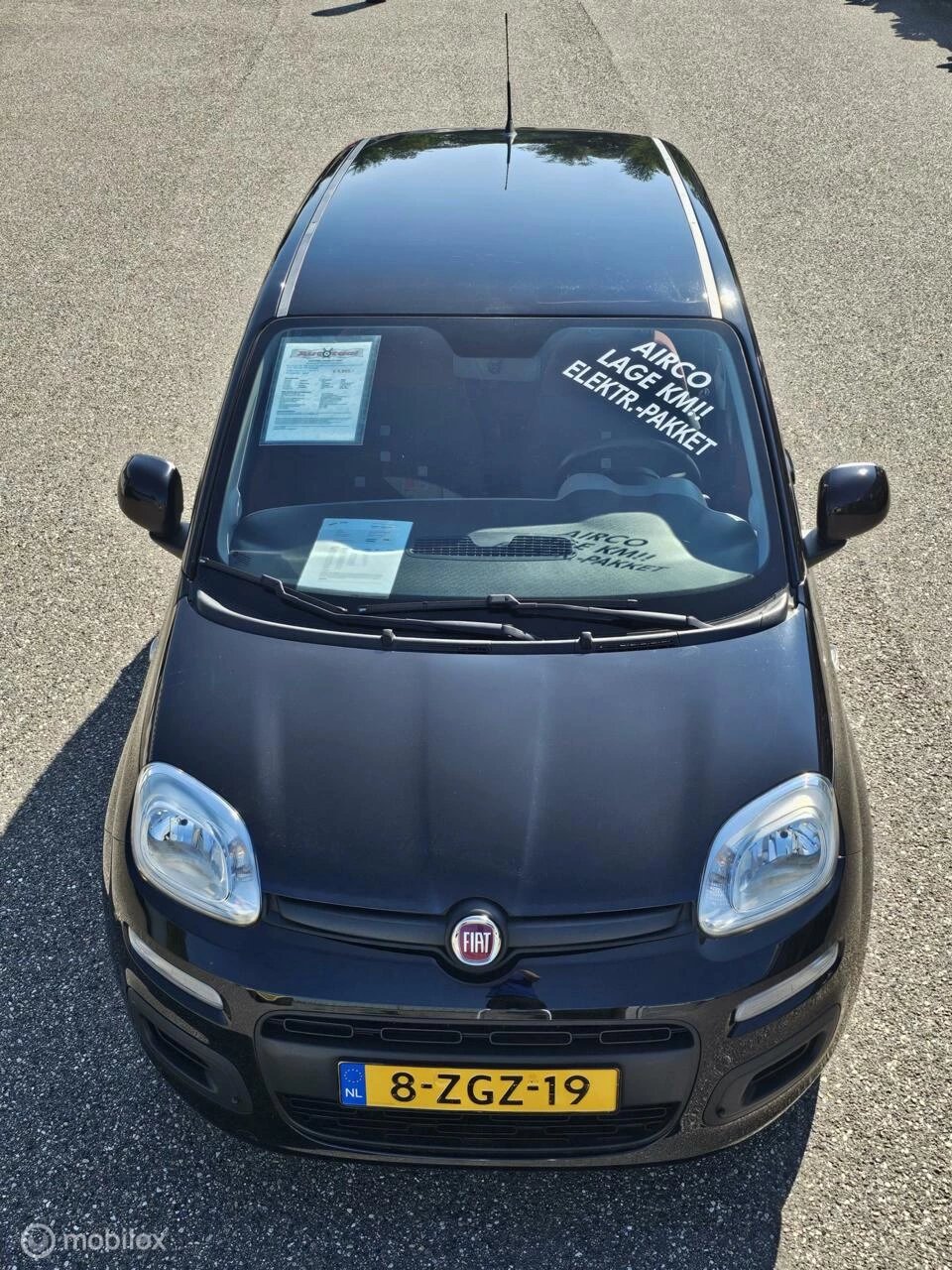 Hoofdafbeelding Fiat Panda