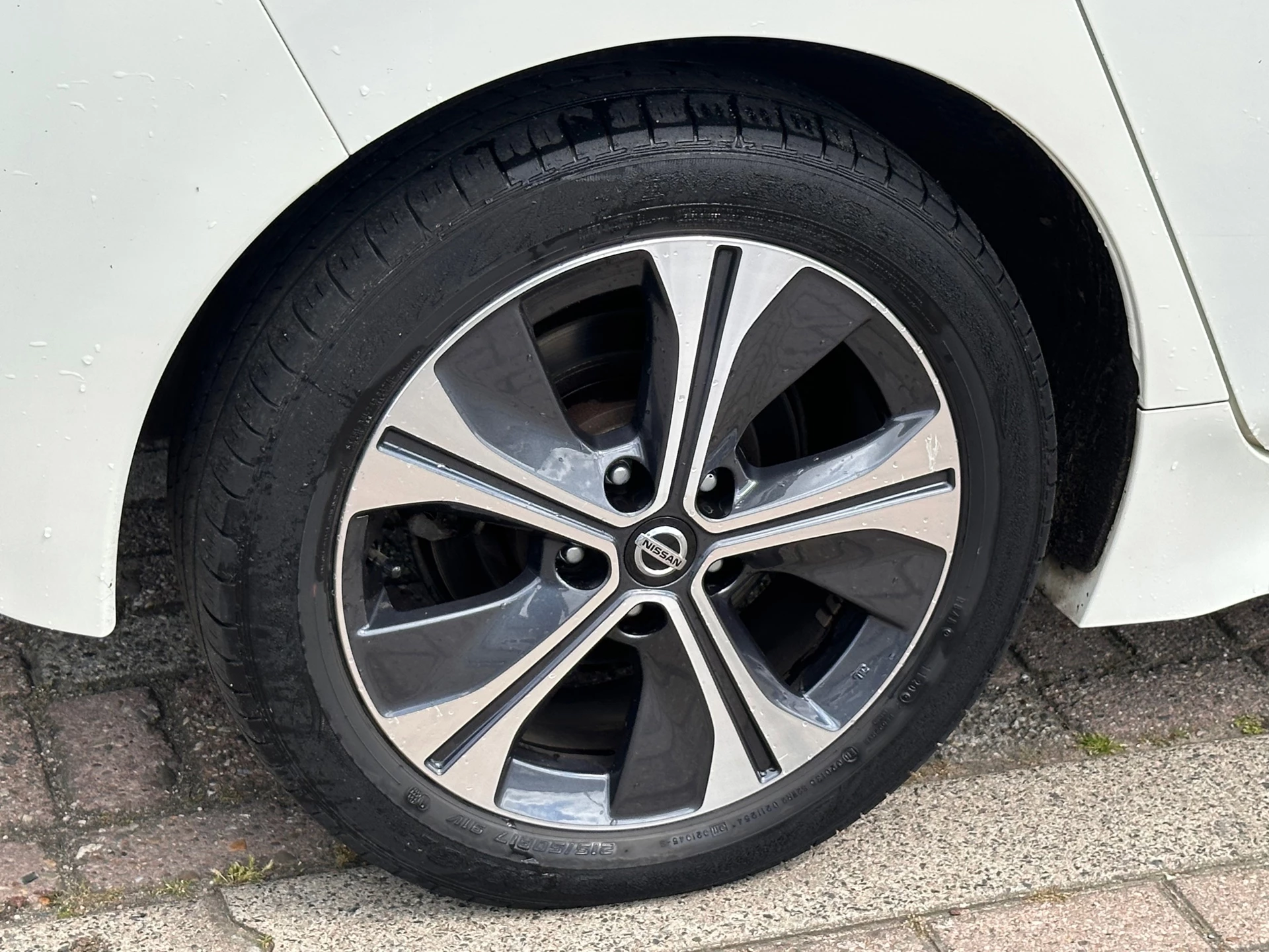 Hoofdafbeelding Nissan Leaf
