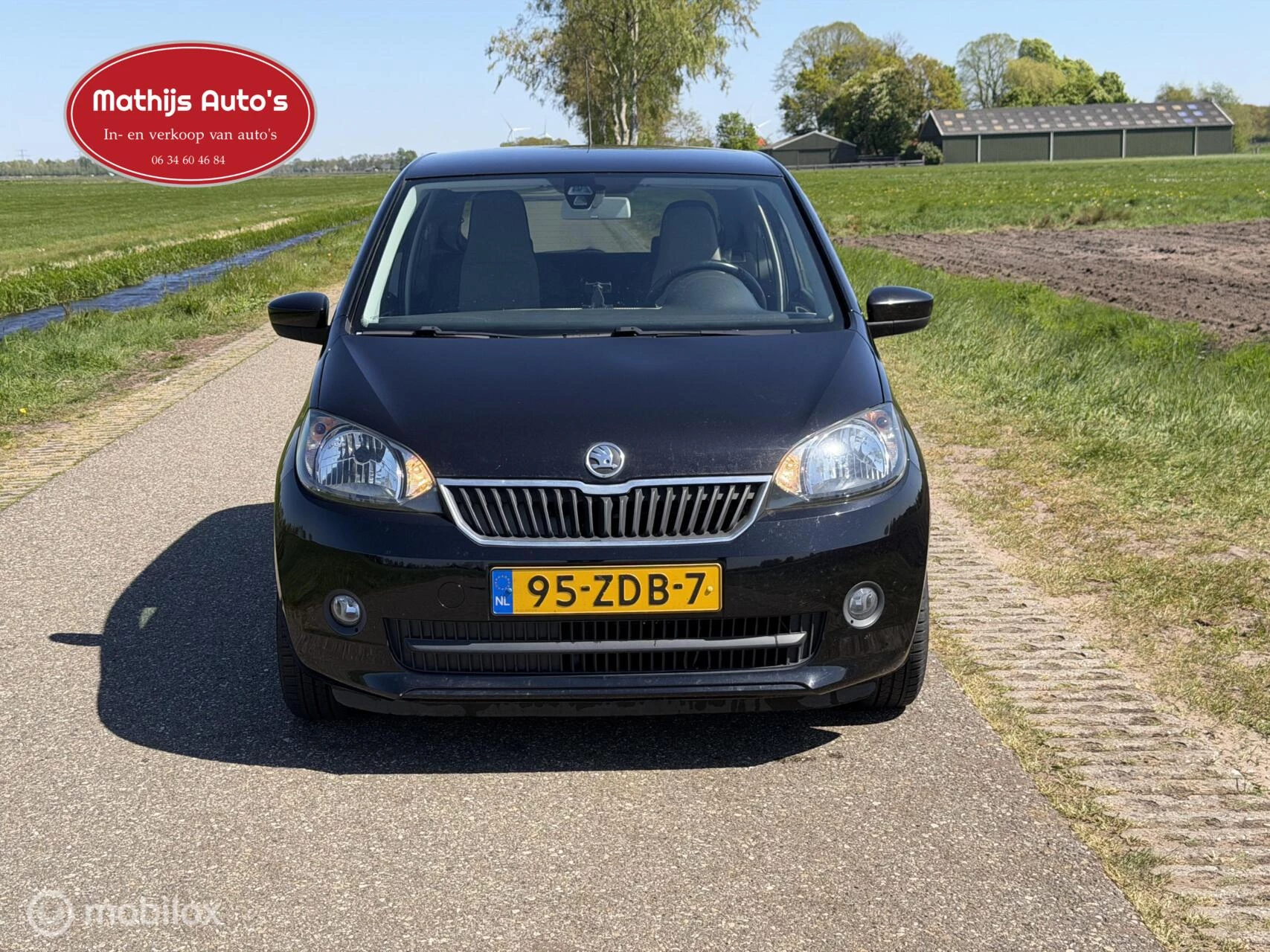 Hoofdafbeelding Škoda Citigo