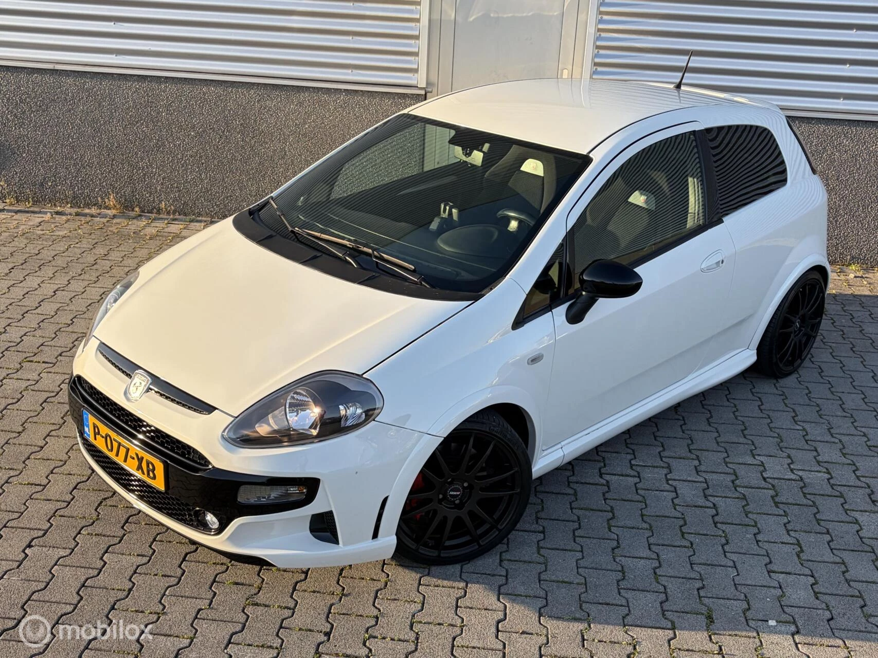 Hoofdafbeelding Fiat Punto