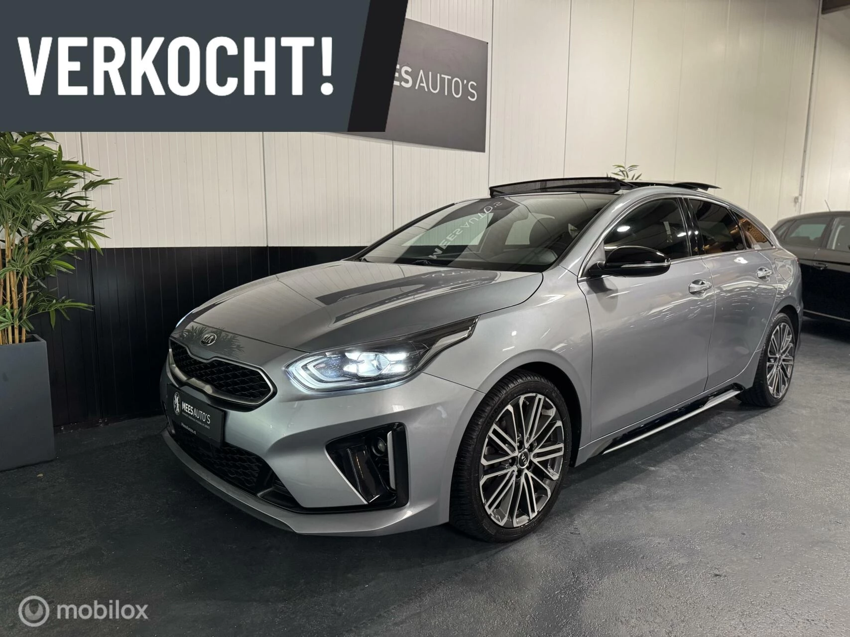 Hoofdafbeelding Kia ProCeed