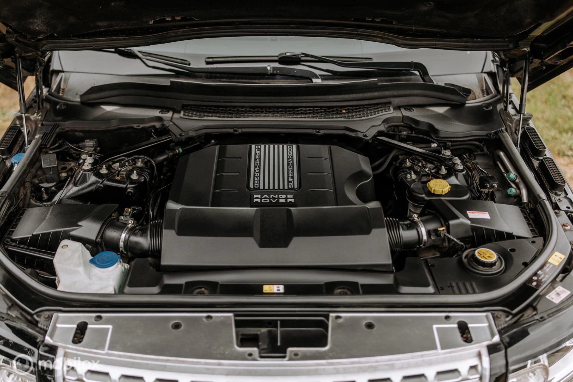 Hoofdafbeelding Land Rover Range Rover