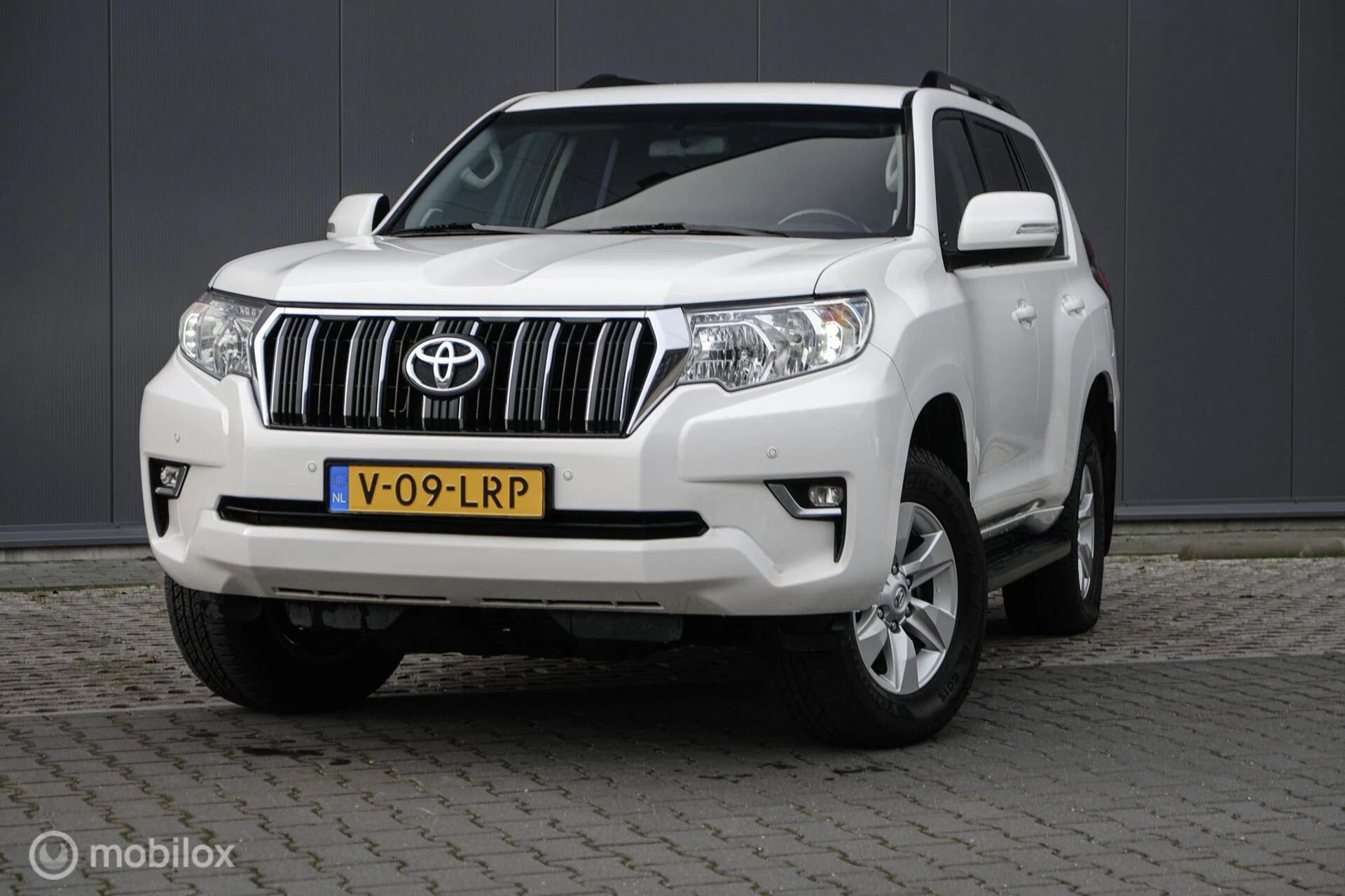 Hoofdafbeelding Toyota Land Cruiser