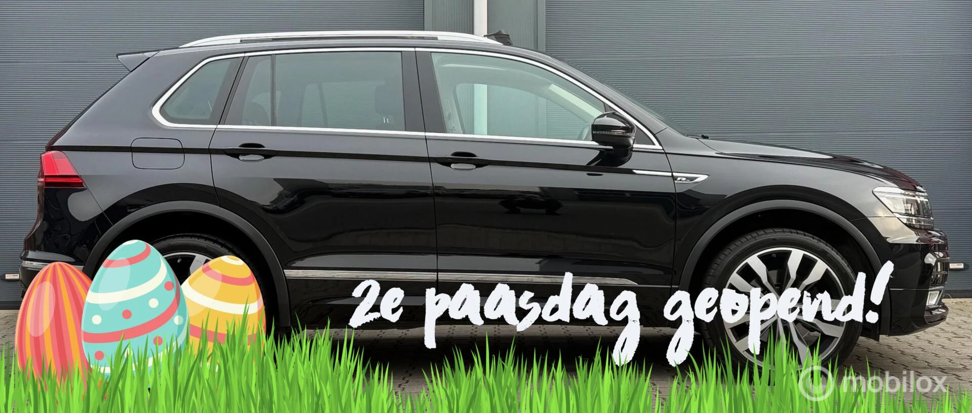 Hoofdafbeelding Volkswagen Tiguan