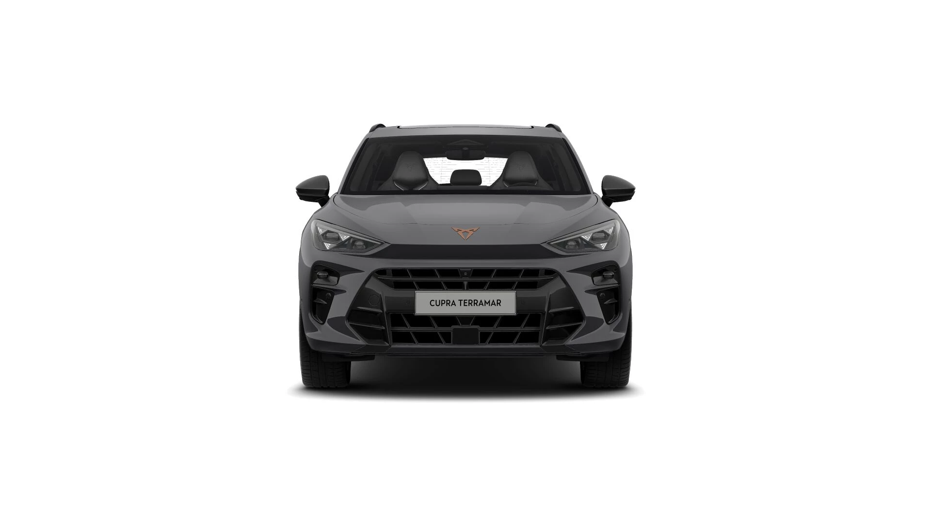 Hoofdafbeelding CUPRA Terramar