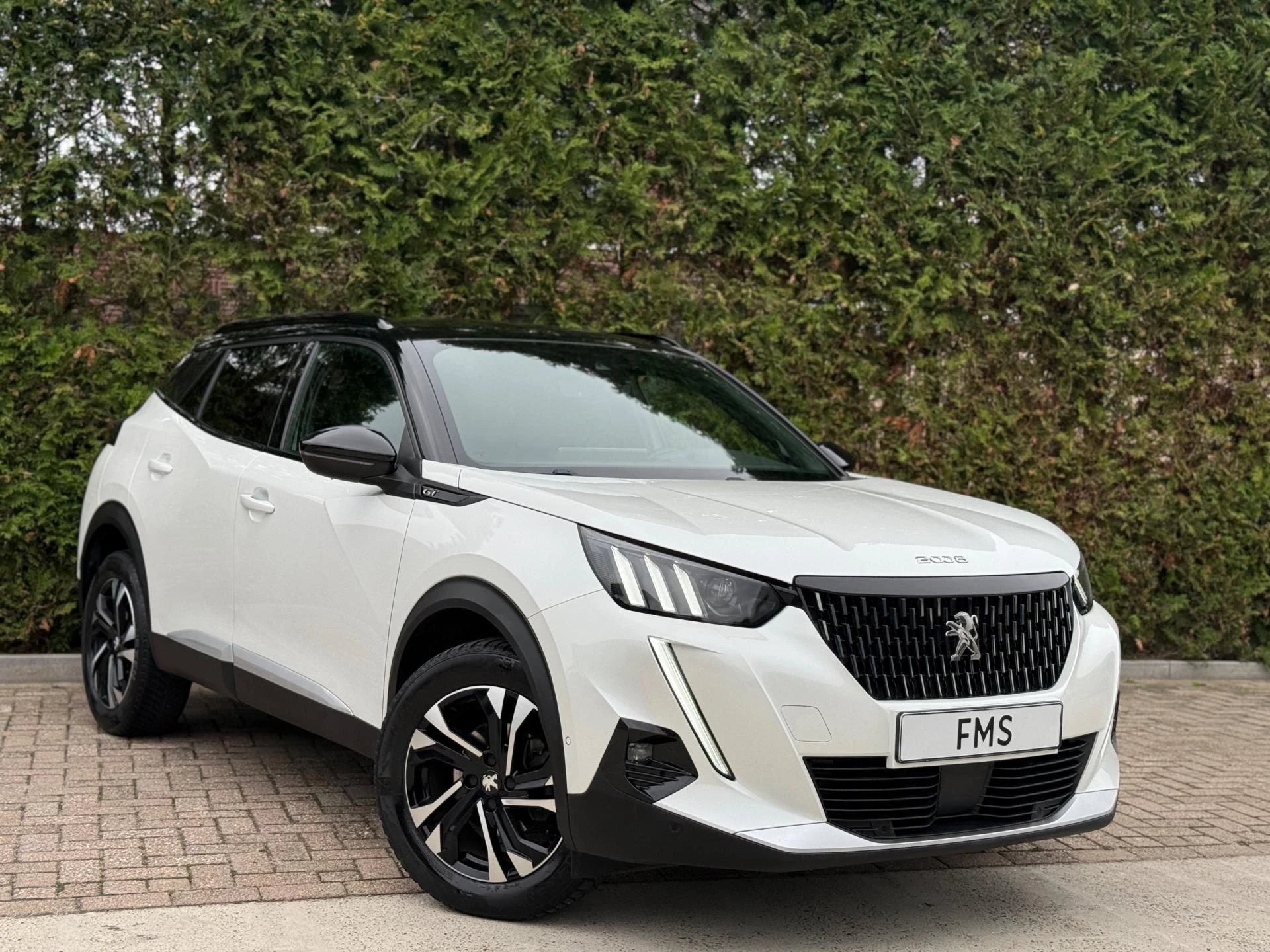 Hoofdafbeelding Peugeot 2008