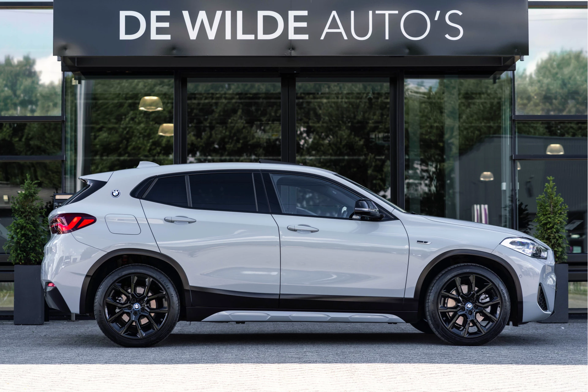 Hoofdafbeelding BMW X2