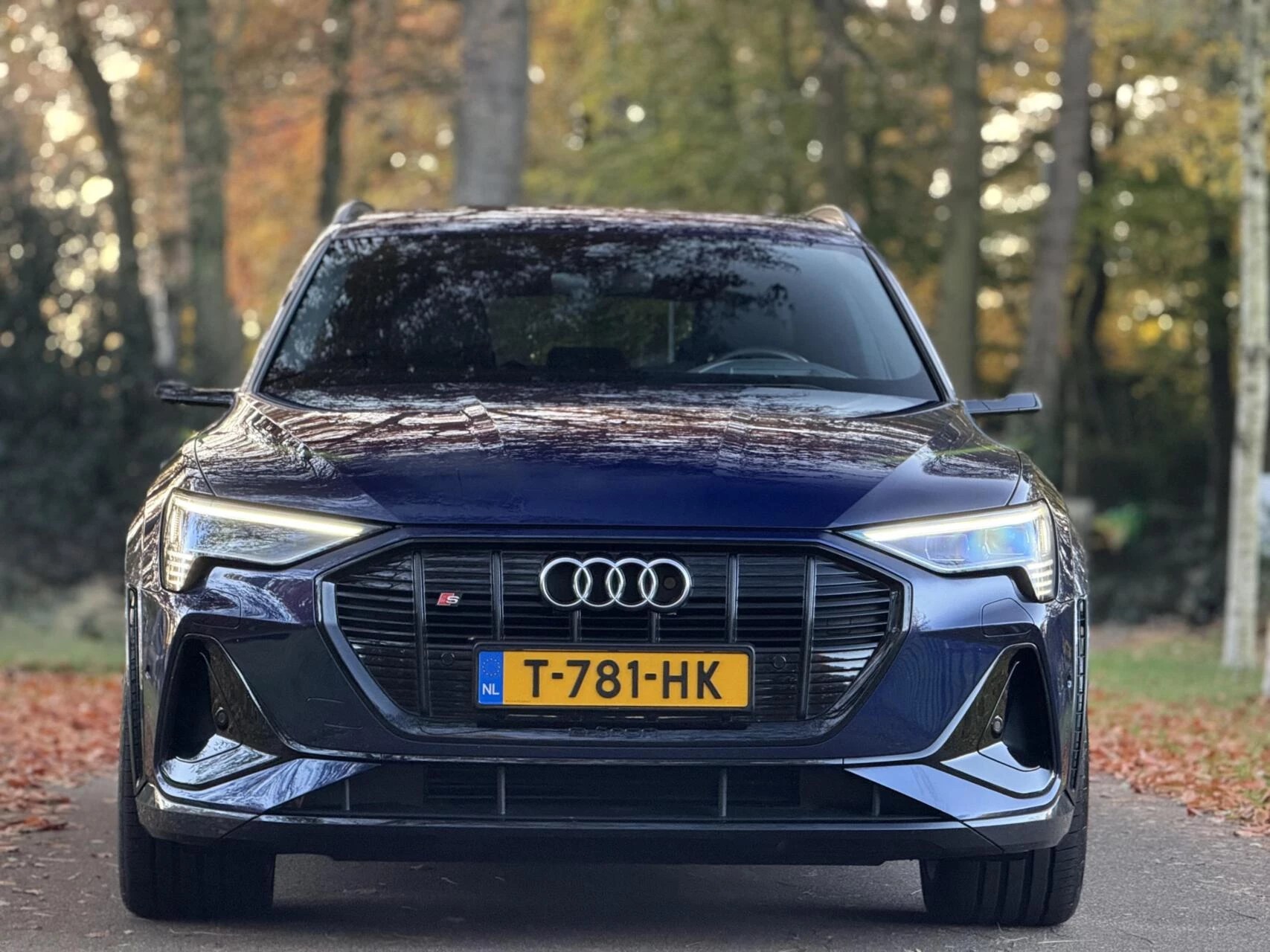 Hoofdafbeelding Audi e-tron