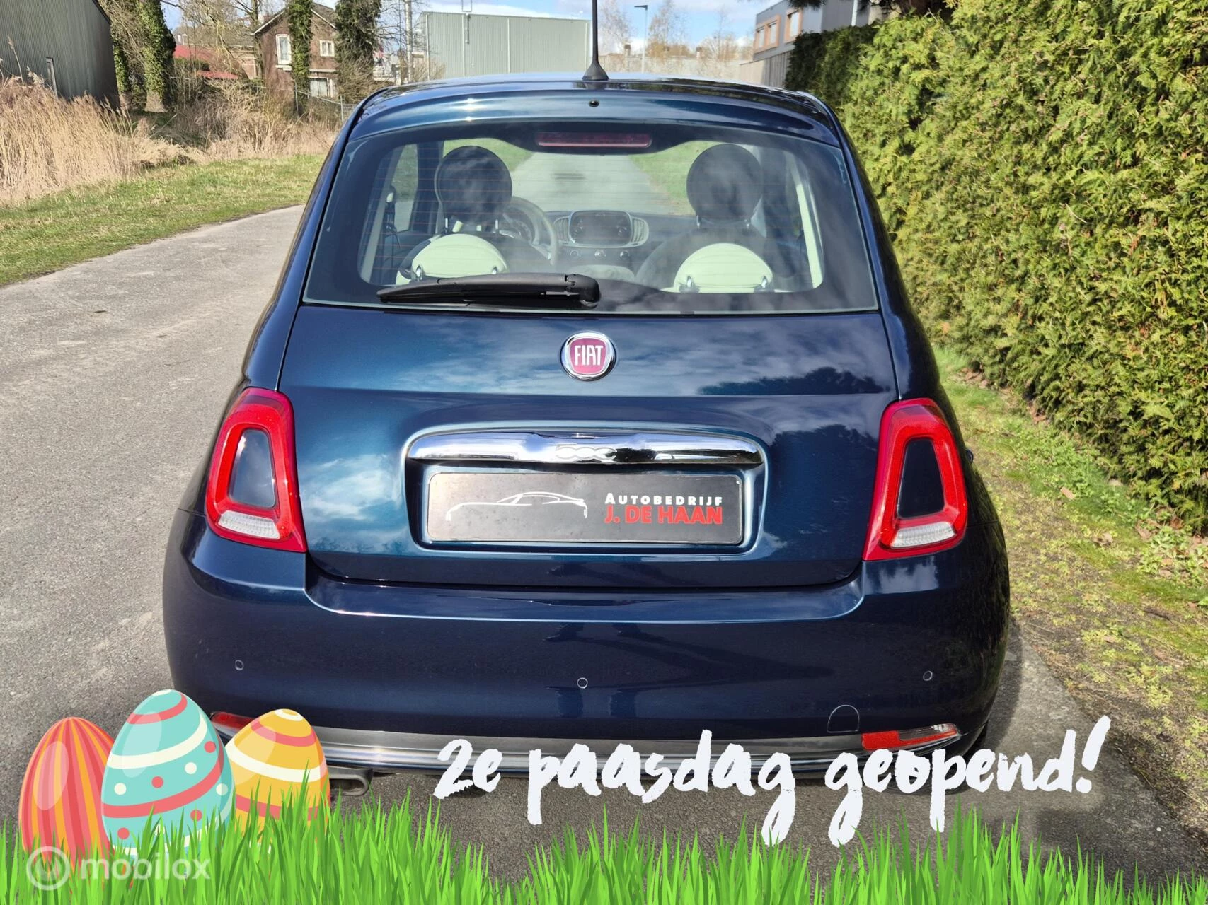 Hoofdafbeelding Fiat 500