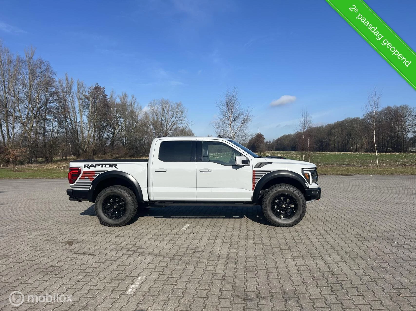 Hoofdafbeelding Ford F-150