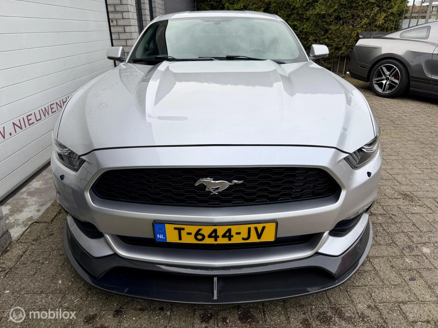 Hoofdafbeelding Ford Mustang