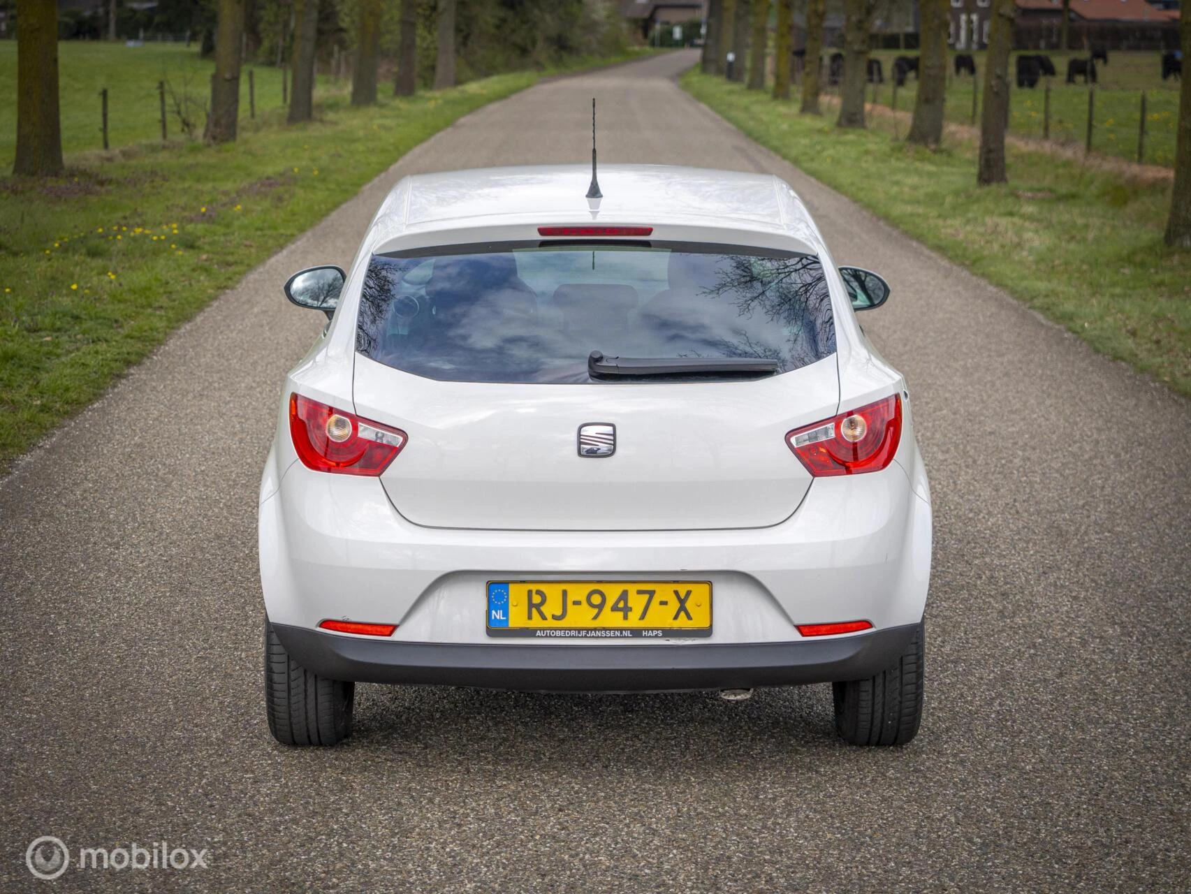Hoofdafbeelding SEAT Ibiza