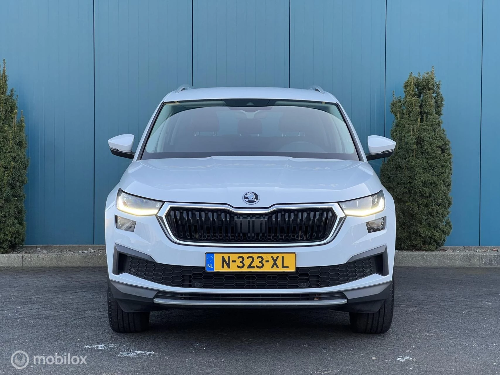 Hoofdafbeelding Škoda Kodiaq