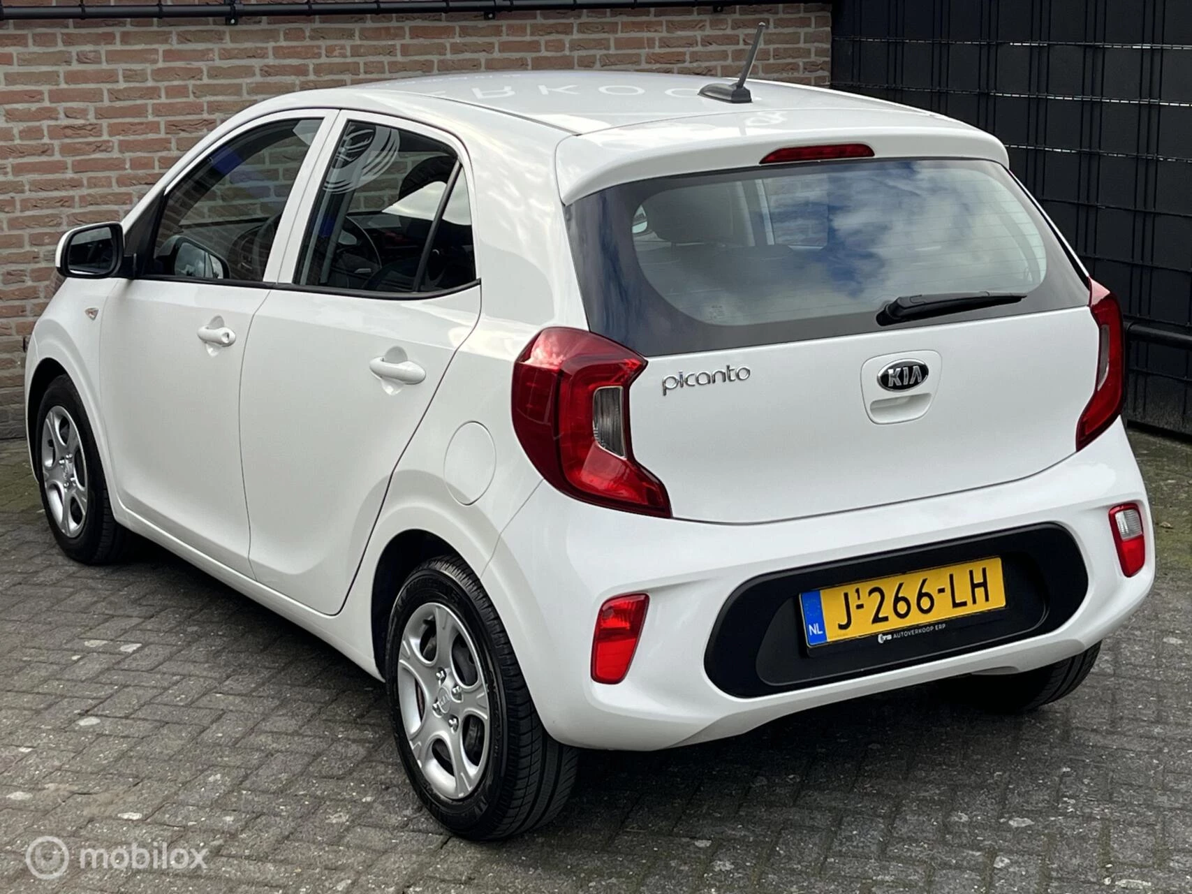 Hoofdafbeelding Kia Picanto