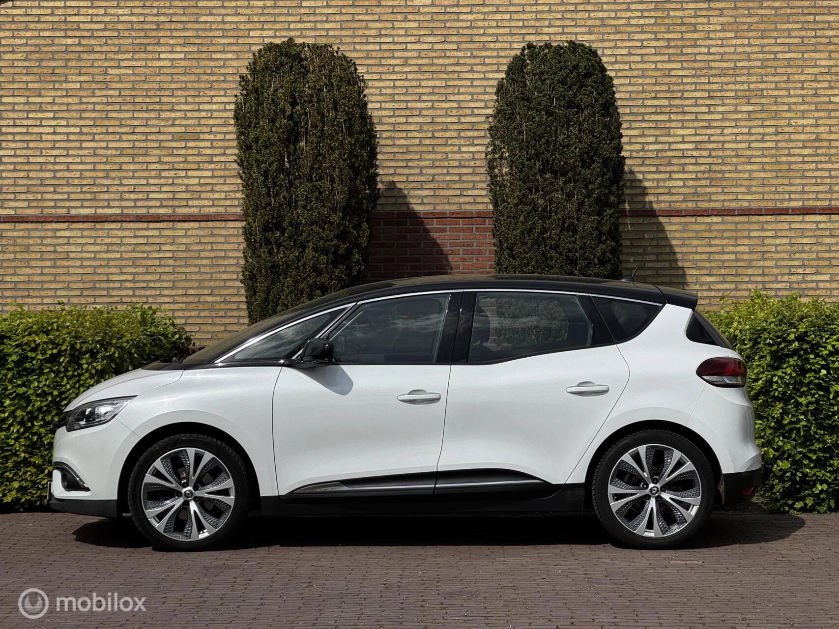 Hoofdafbeelding Renault Scénic