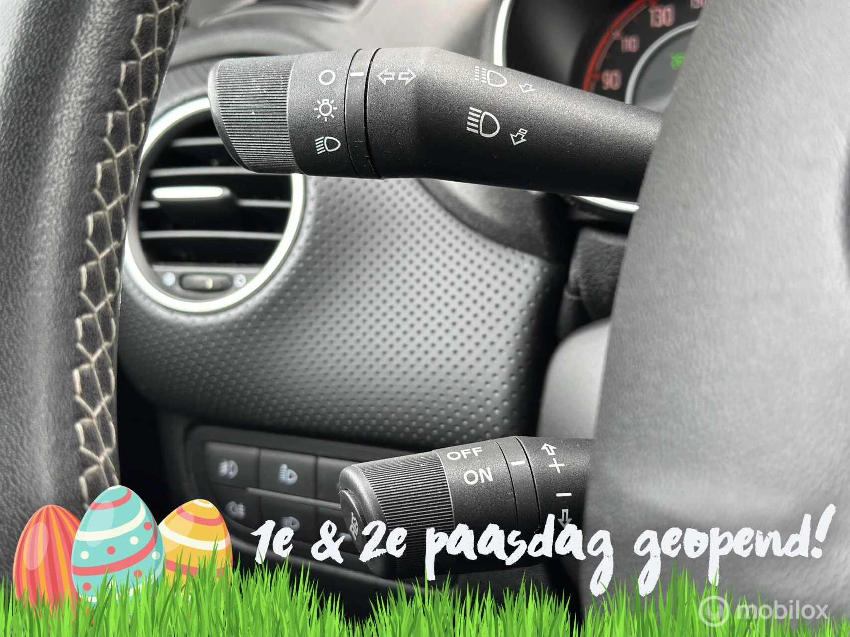 Hoofdafbeelding Fiat Punto