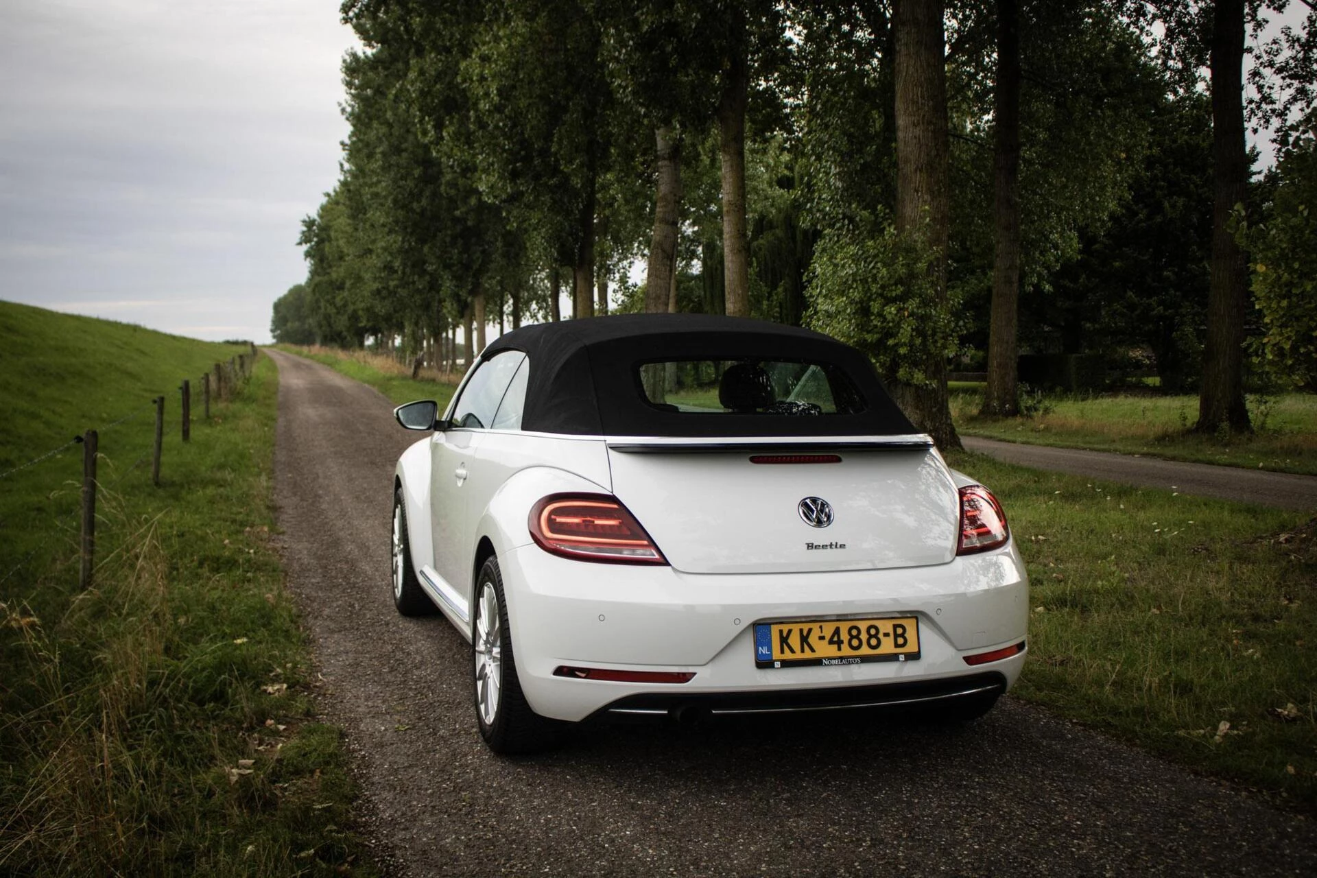 Hoofdafbeelding Volkswagen Beetle