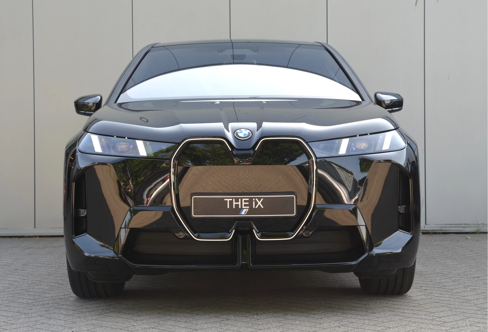 Hoofdafbeelding BMW iX