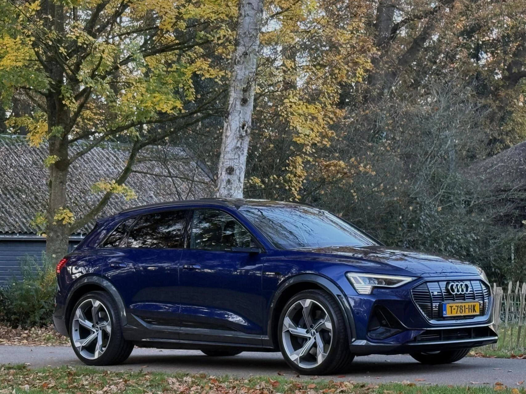 Hoofdafbeelding Audi e-tron