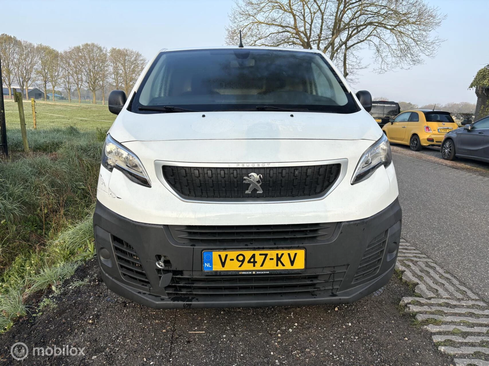 Hoofdafbeelding Peugeot Expert