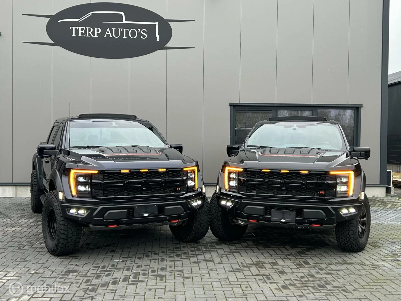 Hoofdafbeelding Ford Raptor R