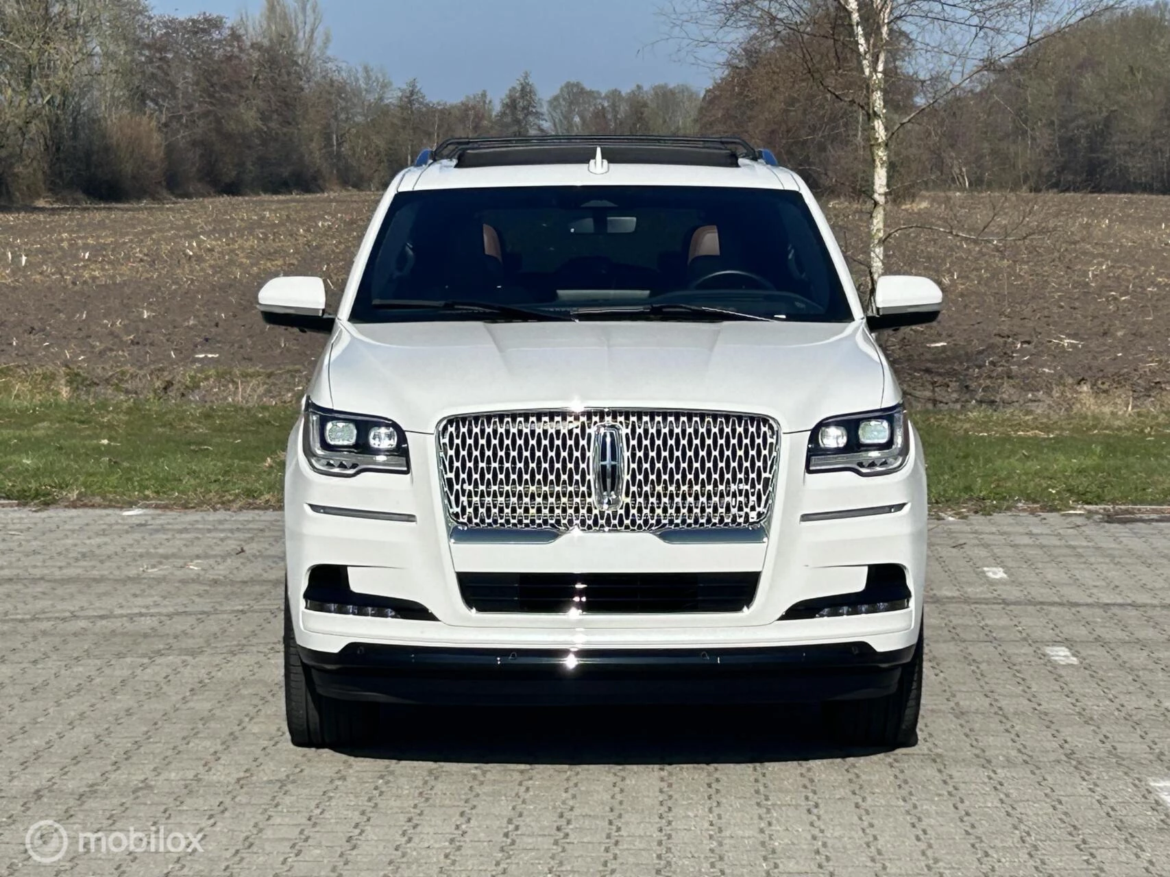 Hoofdafbeelding Lincoln Navigator