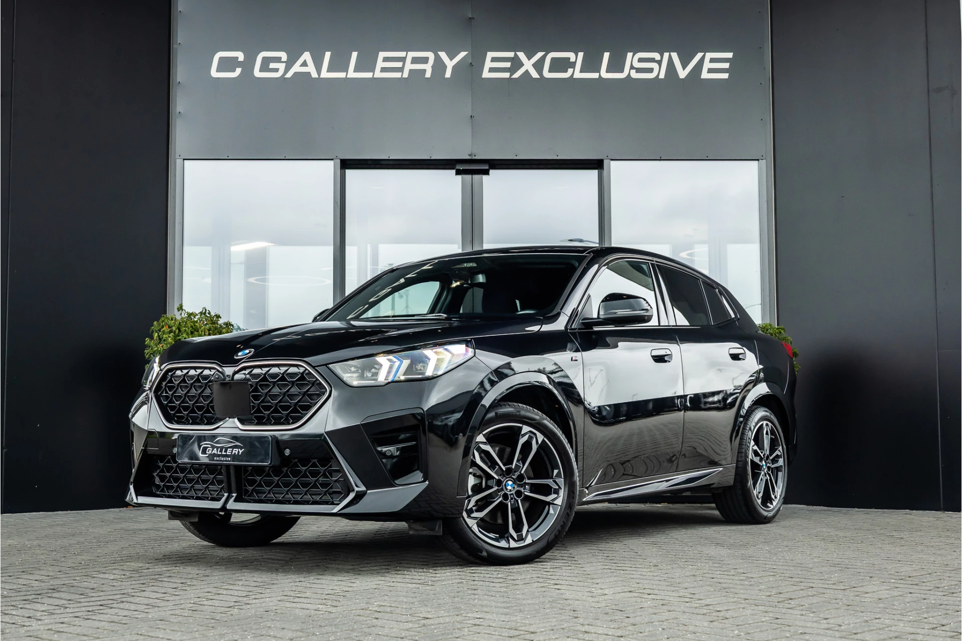 Hoofdafbeelding BMW X2