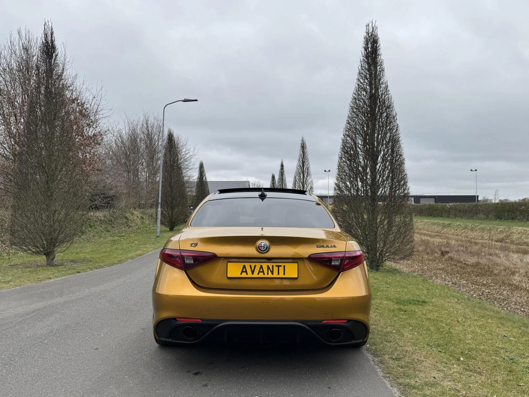 Hoofdafbeelding Alfa Romeo Giulia