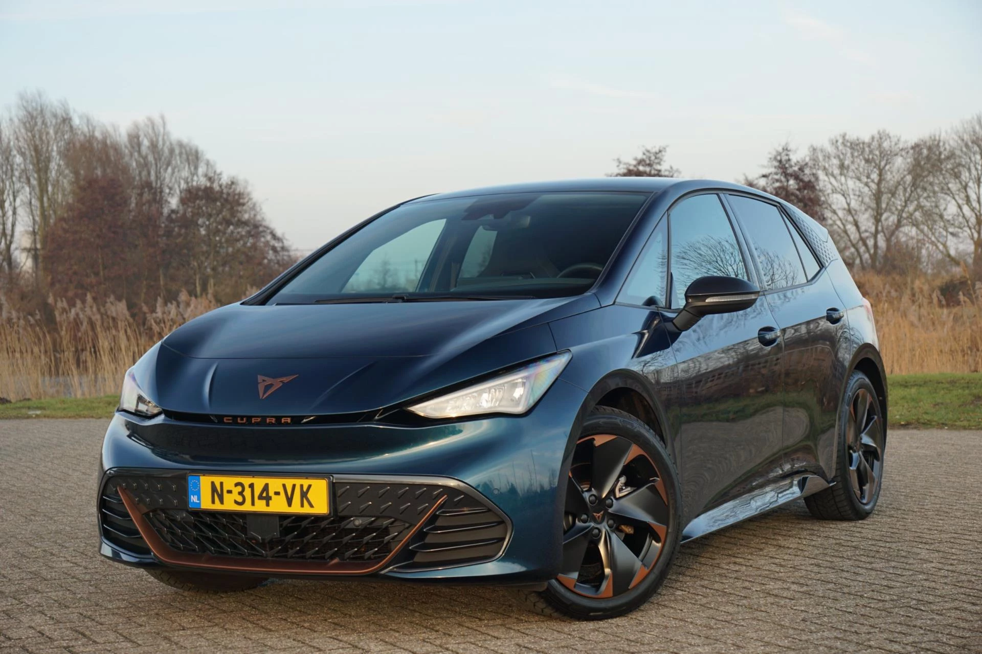 Hoofdafbeelding CUPRA Born