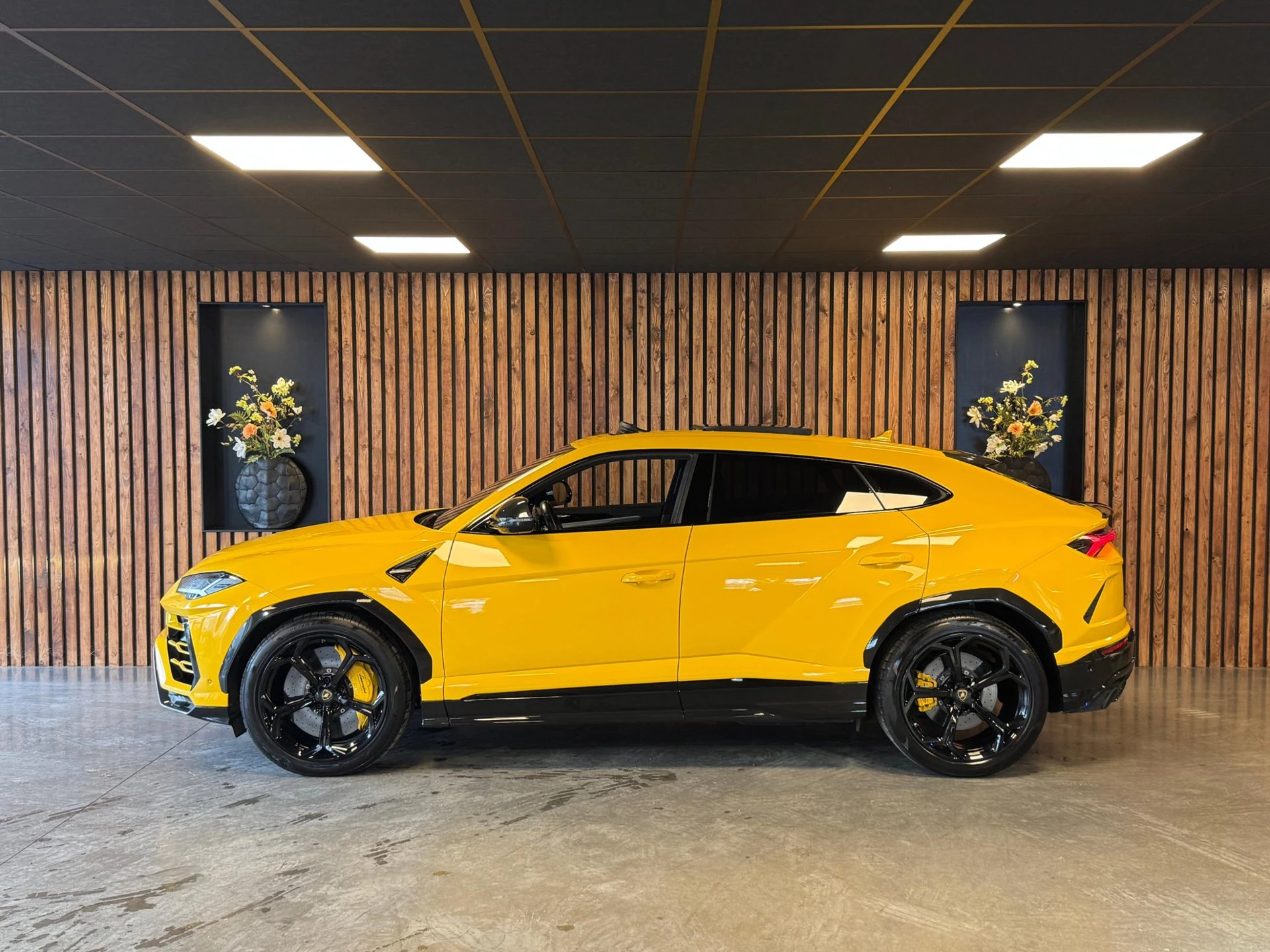 Hoofdafbeelding Lamborghini Urus