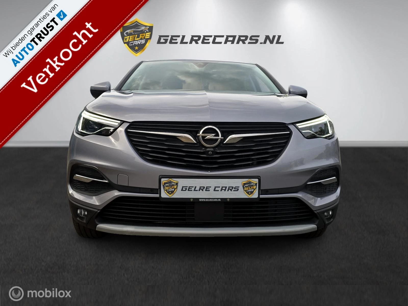 Hoofdafbeelding Opel Grandland X