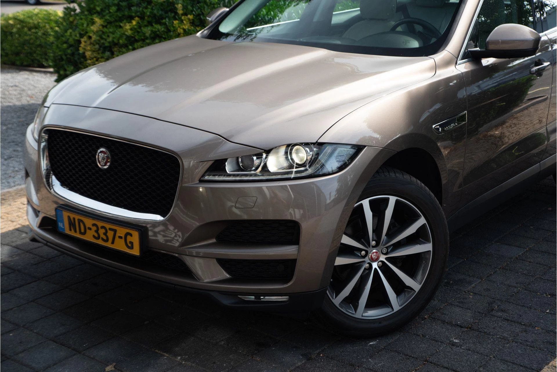 Hoofdafbeelding Jaguar F-PACE