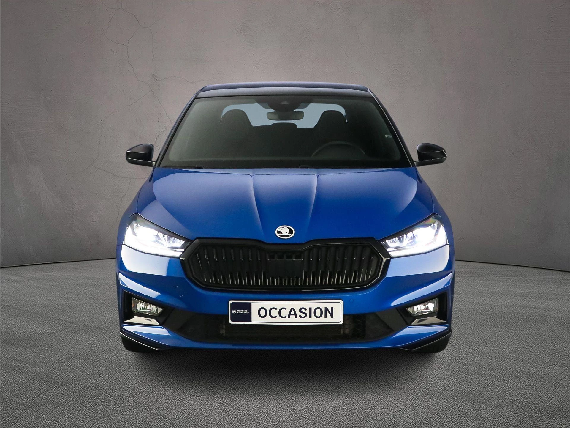 Hoofdafbeelding Škoda Fabia