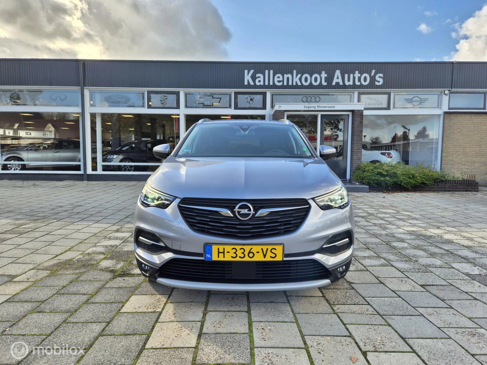 Hoofdafbeelding Opel Grandland X