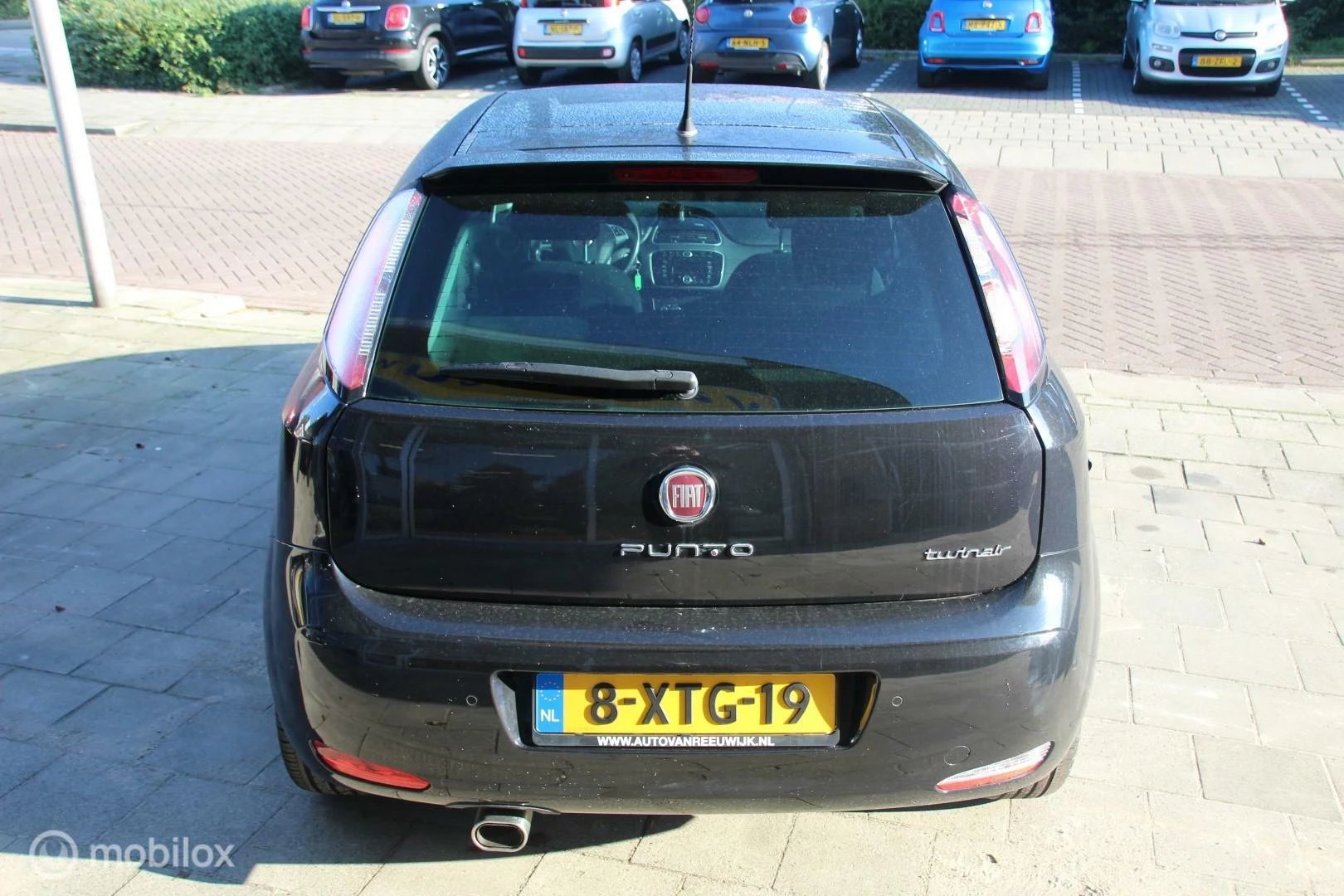 Hoofdafbeelding Fiat Punto