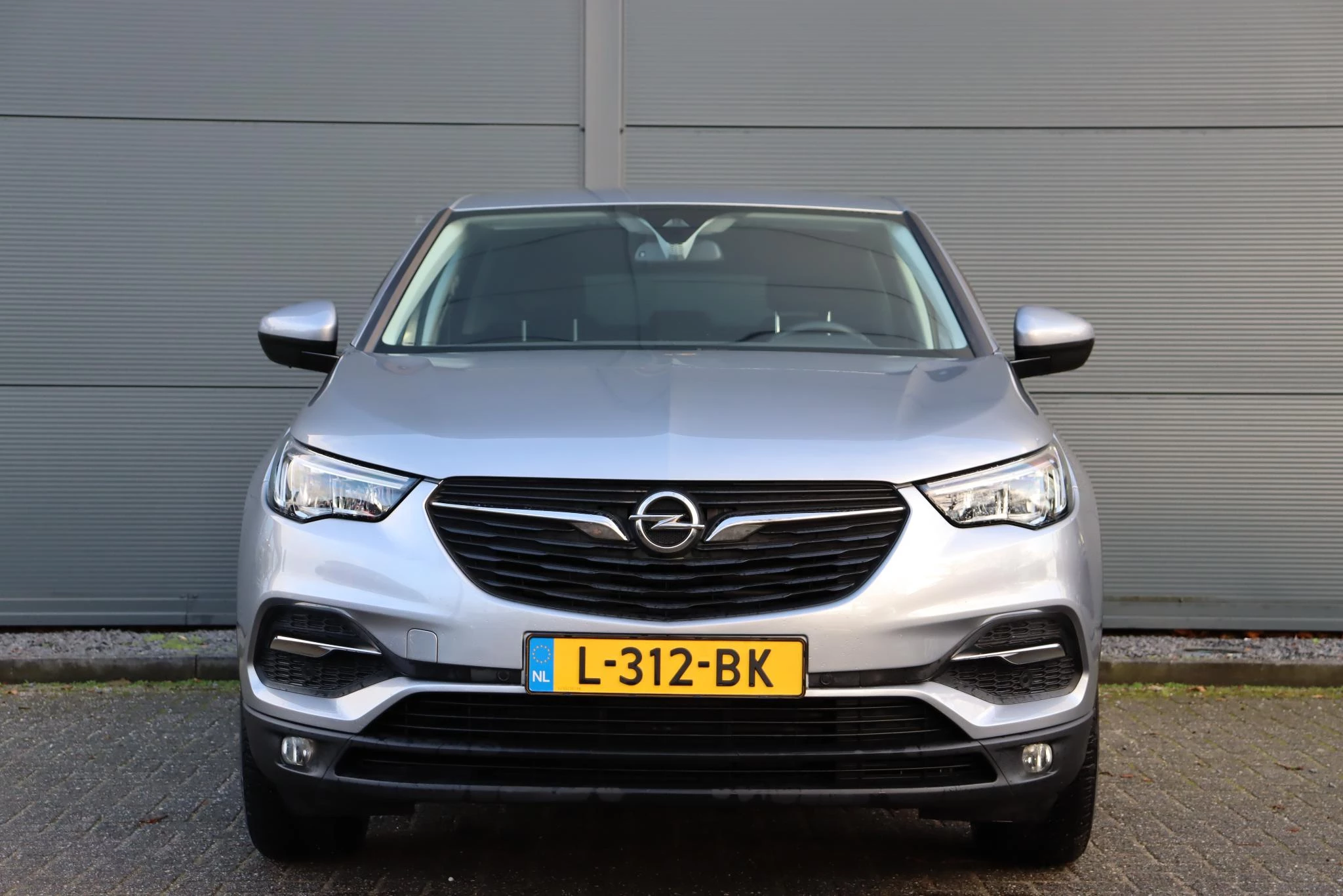 Hoofdafbeelding Opel Grandland X