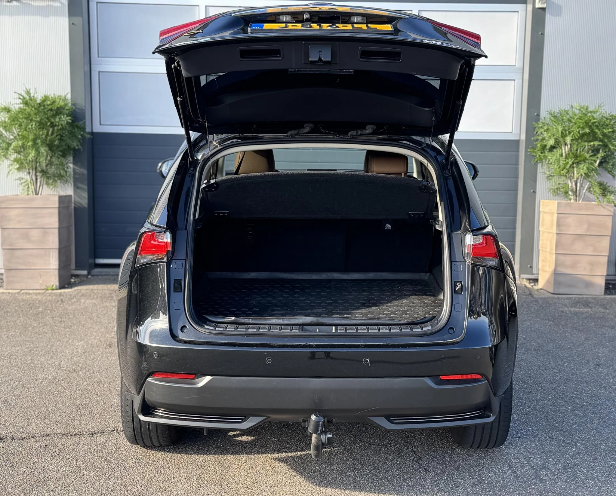 Hoofdafbeelding Lexus NX