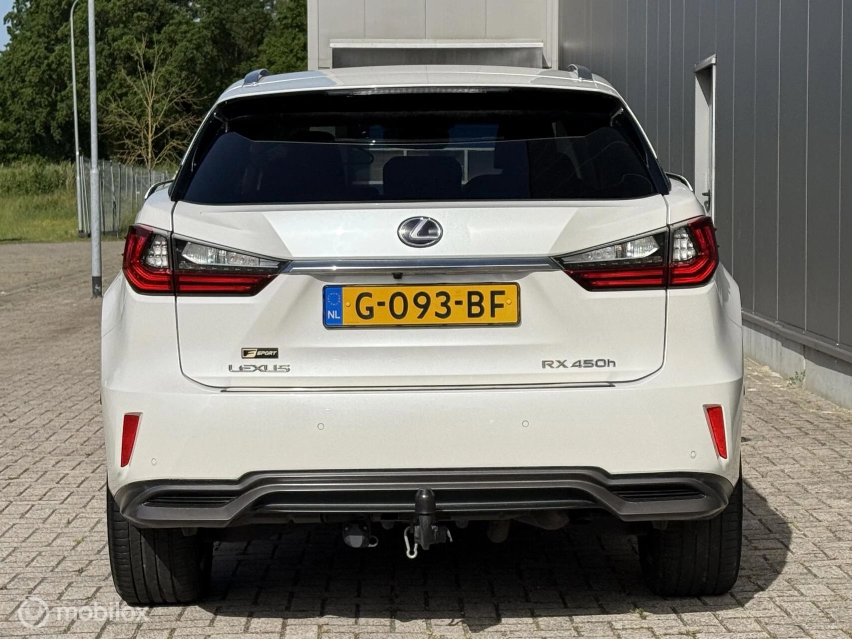 Hoofdafbeelding Lexus RX