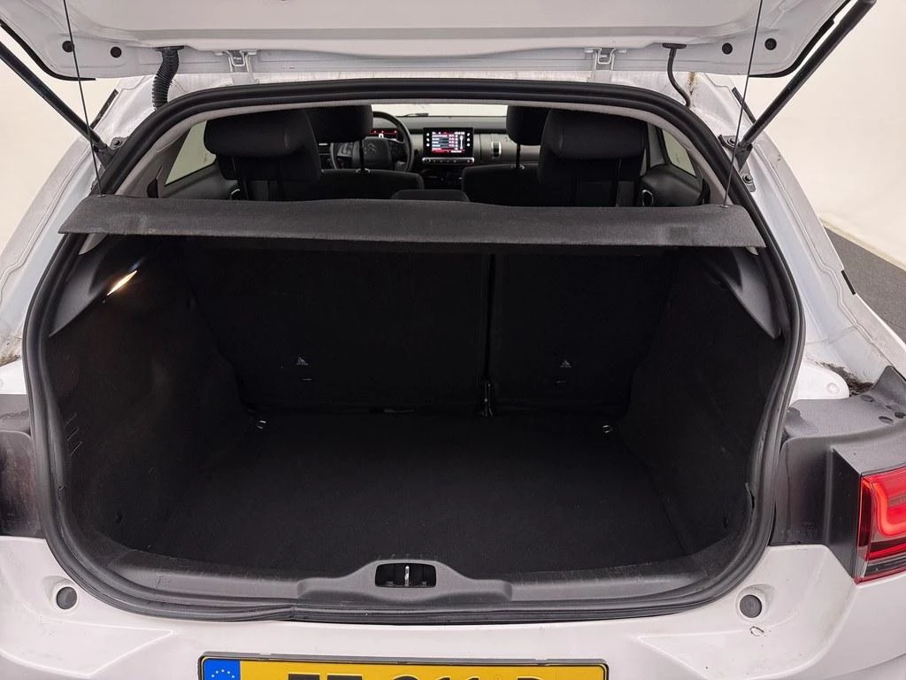 Hoofdafbeelding Citroën C4 Cactus